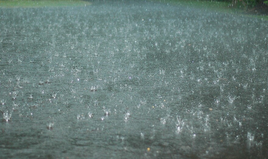 Rain is in the forecast for much of Michigan.