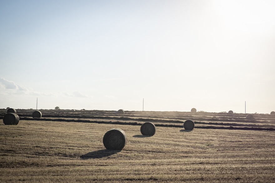 Tractor baling hay in field north of Marshall.