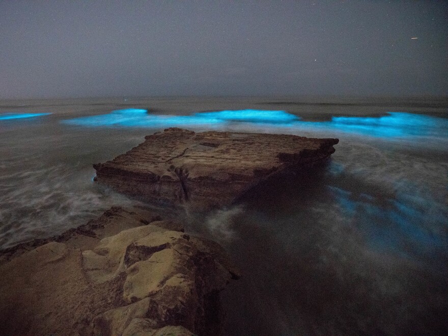 Bioluminescent waves crash against rocks at Torrey Pines State Beach in San Diego, Calif. on Monday night.