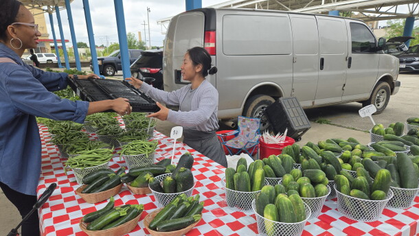 Food Justice Director of Tikkun Ha Ir Amanda McVann hands an empty carton to fill with vegetables to farmer Jenny Yang at the Fondy Farmers' Market.