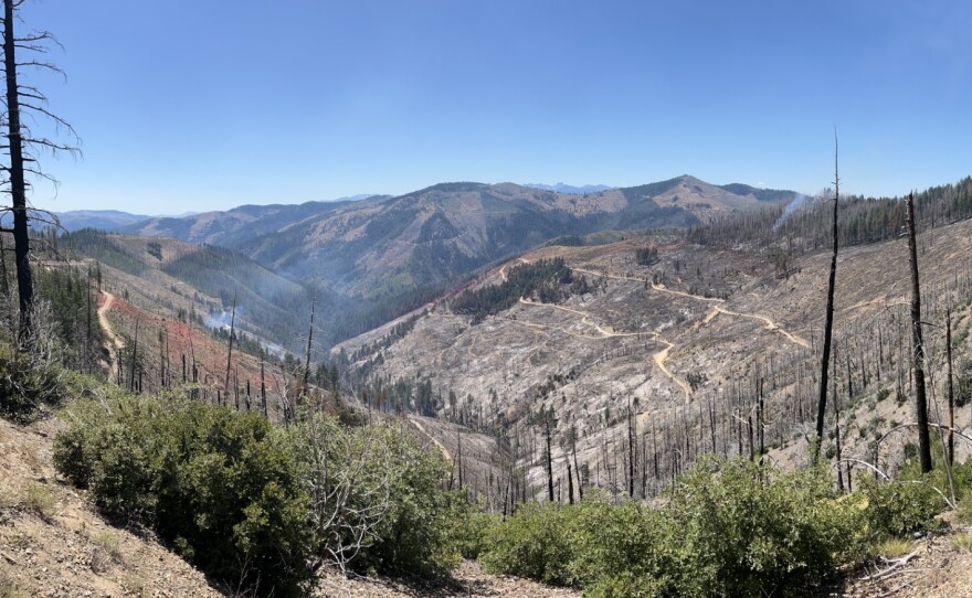 Green Fire in Shasta County, Calif. on July 10, 2025.
