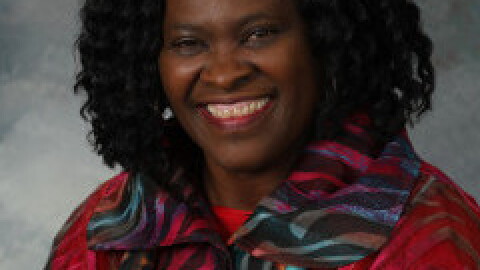 Sheryl Williams Stapleton NM house of Representatives