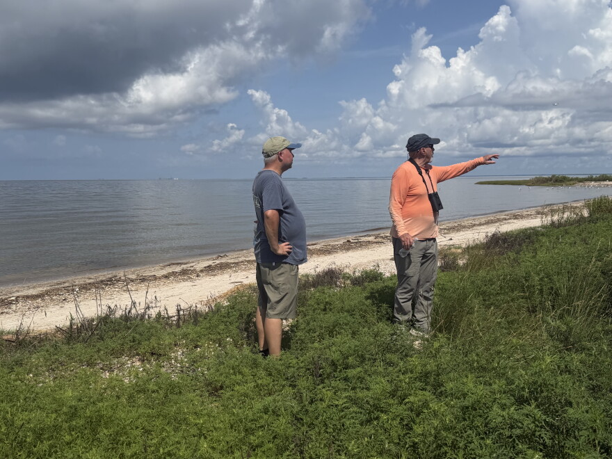 Paleontologist Jun Ebersole and Marine Scientist John Dindo stand in the brushy vegetation on Coffee Island. Dindo is pointing out shorebirds in the distance to Ebersole.