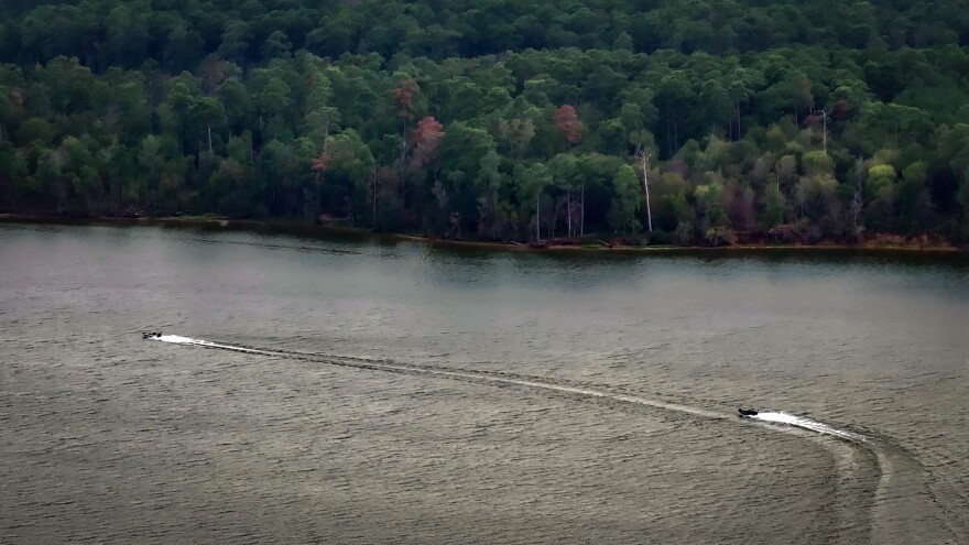 A boat takes a spin on Lake Conroe in the Sam Houston National Forest in Texas. ExxonMobil had sought to inject carbon under the forest, which is not allowed under U.S. Forest Service regulations. A draft agency rule, if finalized, would allow such sequestration.
