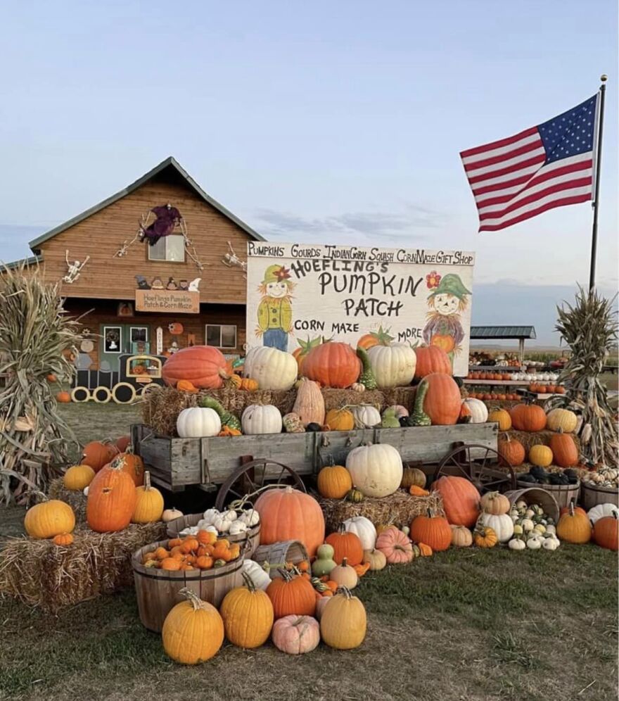 Geralyn and Alan Hoefling grow over 50 varieties of pumpkins and 75 varieties of gourds. They also have a corn maze, hay rides and baked treats for visitors to enjoy.