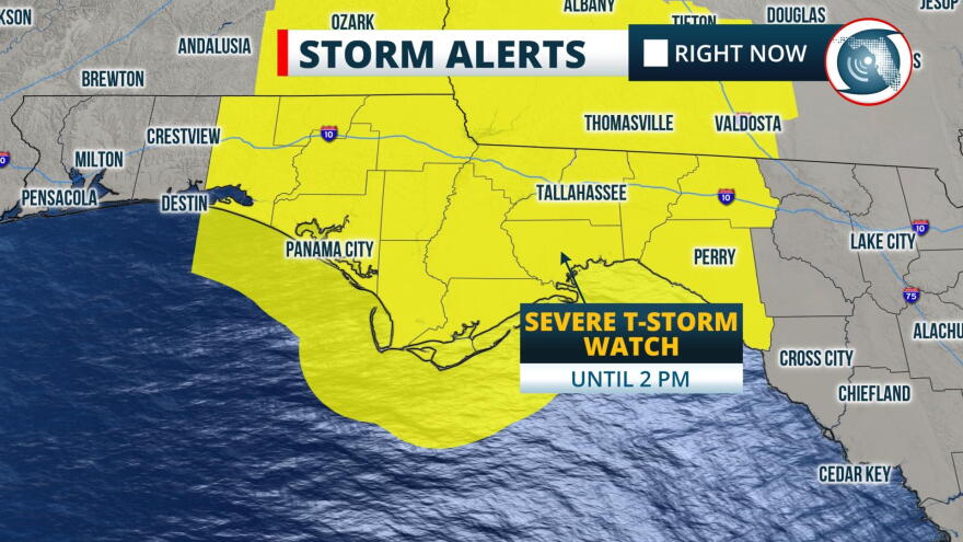 Severe Thunderstorm Watch