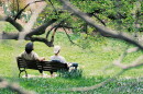 Two people sitting on a bench in a park, facing away from the viewer