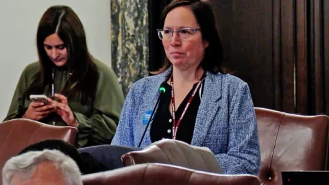Sen. Cristina Castro, D-Elgin, discusses the Dignity in Pay Act in the Illinois Senate on Thursday.