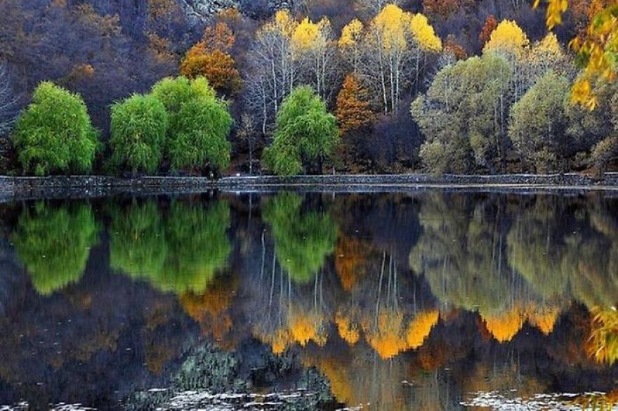 beautiful_reflections_in_water_11.jpg