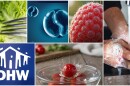 A large number of cases of intestinal illness that causes diarrhea, nausea and fatigue have been detected in the majority of U.S. states.