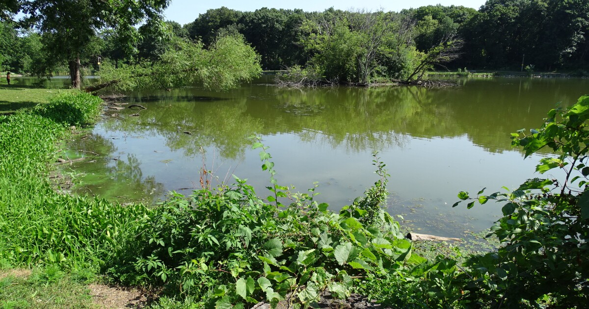 MMSD accelerates efforts to absorb more stormwater after August 2025 floods
