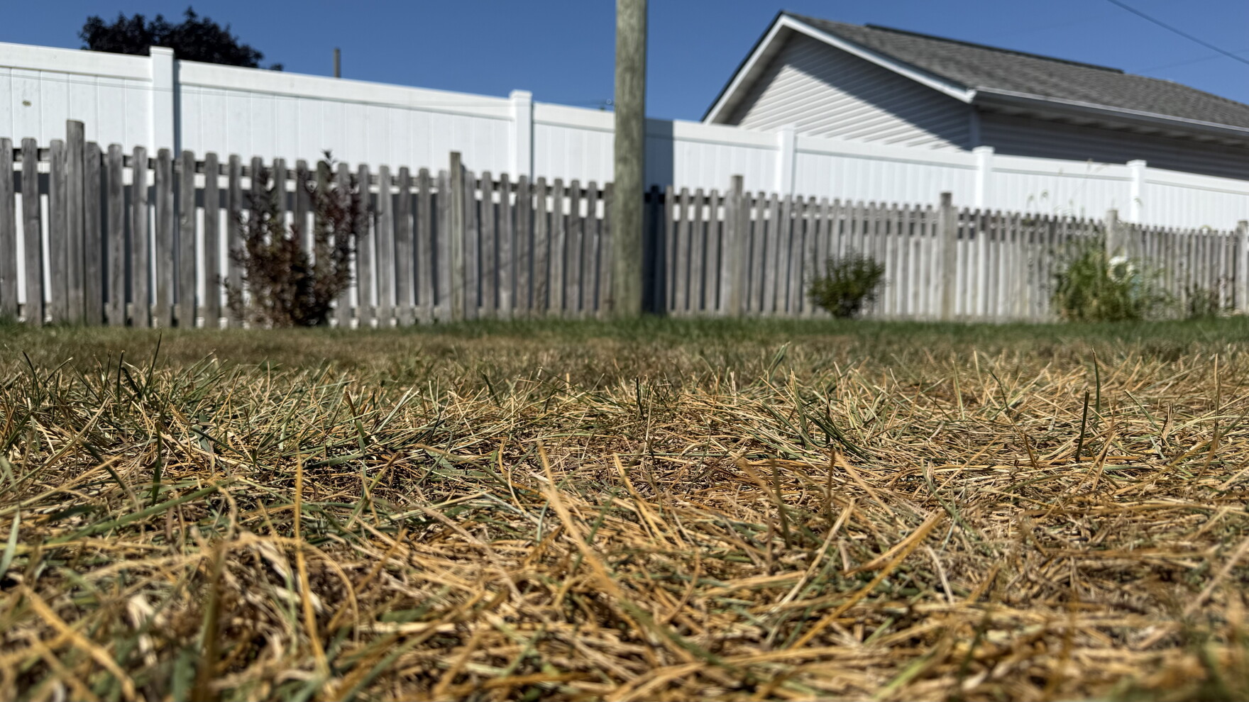 Matthew Rand Dry August raises drought concerns for Ohio farmers, ecosystems