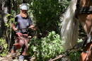 Bearded man in hard hat and chaps holding reigns of horse that is attached to log