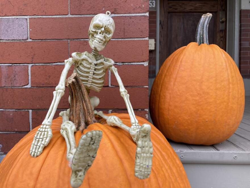 halloween_fall_season_skeleton_pumpkin.jpg