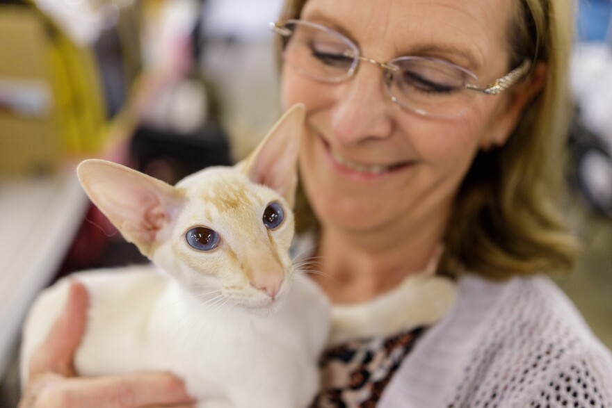 Woman holds a cat