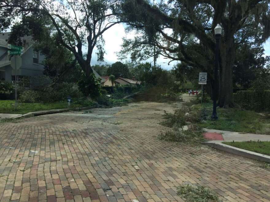 Debris in downtown Orlando after Hurricane Irma. courtesy Matias de la Jara