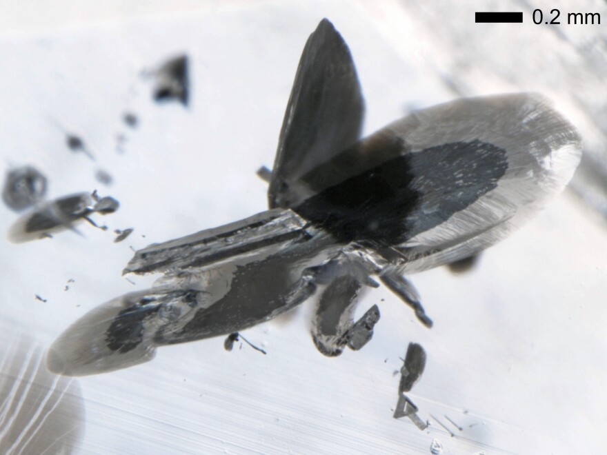 A rare diamond carried this tiny package of material from hundreds of miles underground. It's about as wide as a poppy seed.