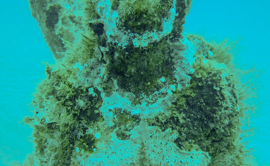 Underwater sculpture garden