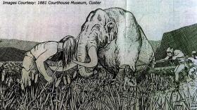 Drawing of Native Americans fighting a mammoth. 