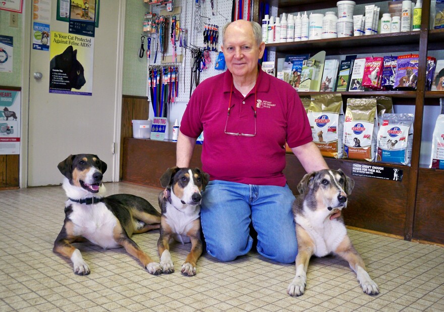 Phillip Dupont says losing his original dog Melvin (far right) was very hard, but Ken (far left) and Henry — two clones made from Melvin's skin cells — have helped a lot with the grief. The dogs' slightly different markings reflect differing environmental influences.