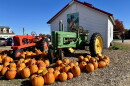 An autumnal scene with pumpkins and a tractor at Carter Hill Orchard