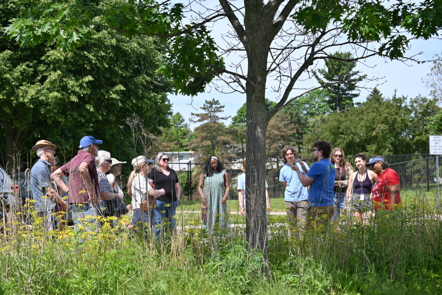 The walking portion of the last A²ZERO TREEducation event, a tree identification workshop, in Ann Arbor, Michigan