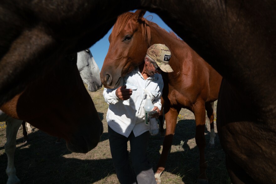 Conni is surrounded by horses as she goes about her daily chores on the cattle ranch. "I see them coming in with big money, buying up ranches and walking over the top of the people who are already here," she says.