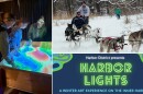 This weekend's options include (clockwise from left) the STEM Expo at UWM, Winter Break at the Havenwoods State Forest and the debut of Harbor Lights.