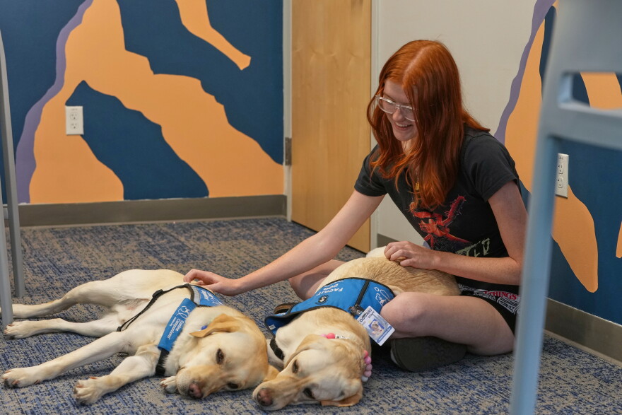 A dog sits on the floor with a student.