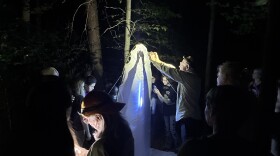 A variety of moths and insects were attracted to the black lights for community members to see.
