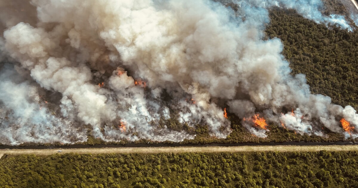 Officials urge caution as North Carolina's spring wildfire season begins