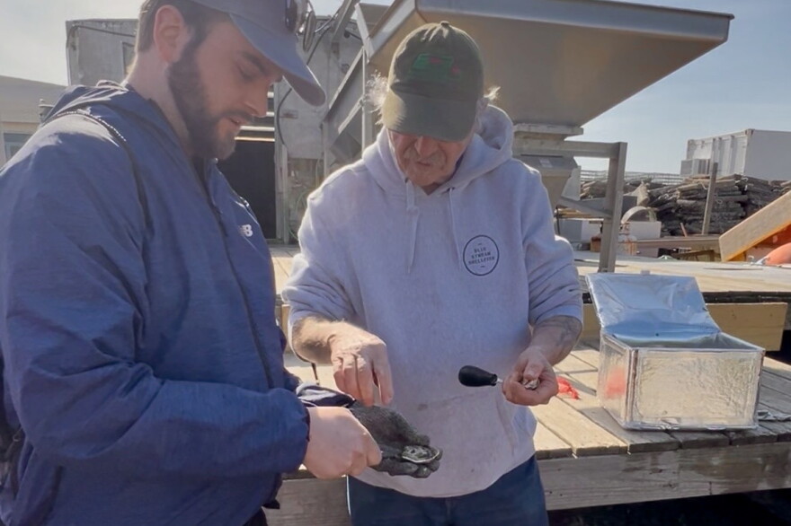 Dale Leavitt, co-owner of West Island Oysters, shows a visitor how to shuck an oyster.