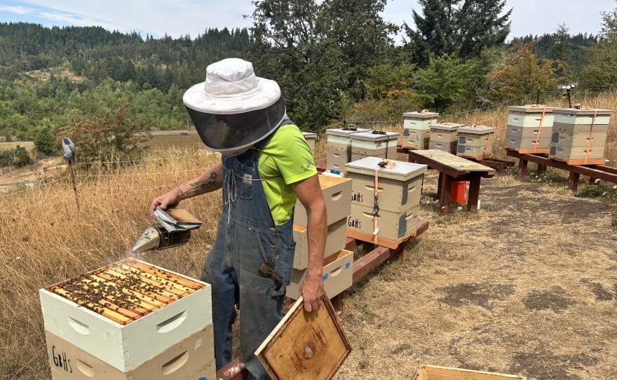 Andre ́ Sirois uses smoke on one of his hives, Aug. 21, 2026