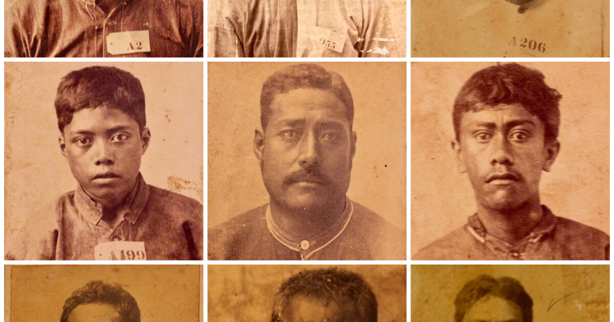 As Mauna Kea Recalls Dark History, Stories of 1895 Political Prisoners Revived | Hawai'i Public ...
