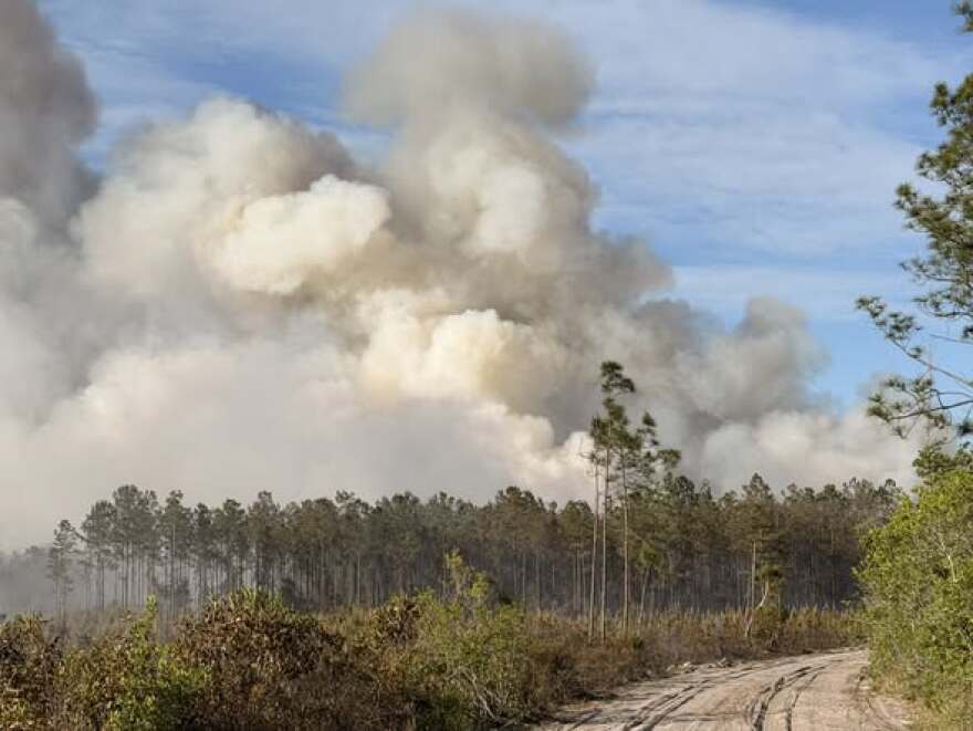 Photo from the Railroad Fire near the Clay-Putnam county line.