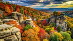 The Roadless Rule protects tens of millions of acres of National Forests across the country from road construction and logging.