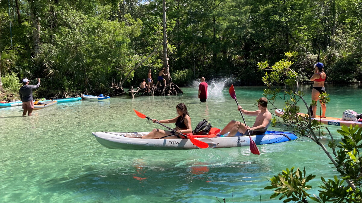 Weeki Wachee advocates want restrictions before river 'loved to death' - Vimarsana News