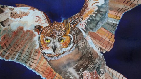 Cheryl Renee Long, "Great Horned Owl," watercolor