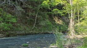 Green's Bluff Nature Preserve in Spencer is owned by The Nature Conservancy.