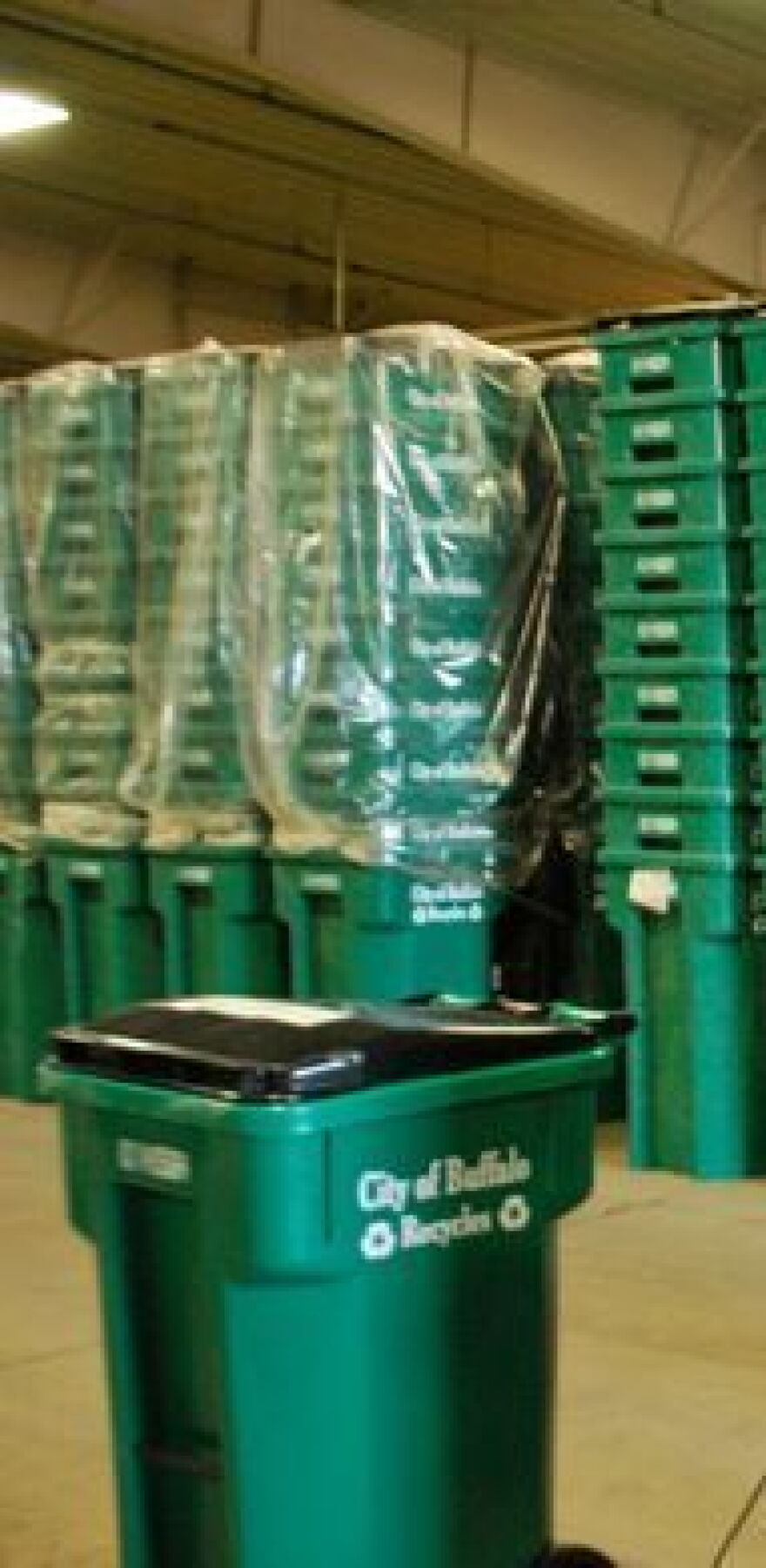 Buffalo's new recycling totes