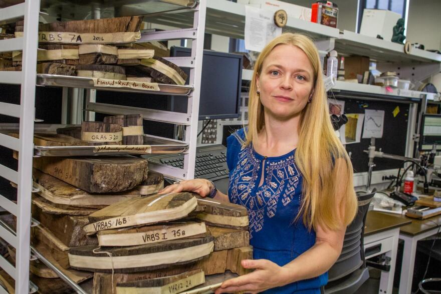 Charlotte Pearson at her lab in the University of Arizona Laboratory of Tree-Ring Research.