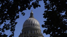 The Idaho state Capitol is seen on Thursday, July 3, 2025, in Boise, Idaho. (AP Photo/Jenny Kane)