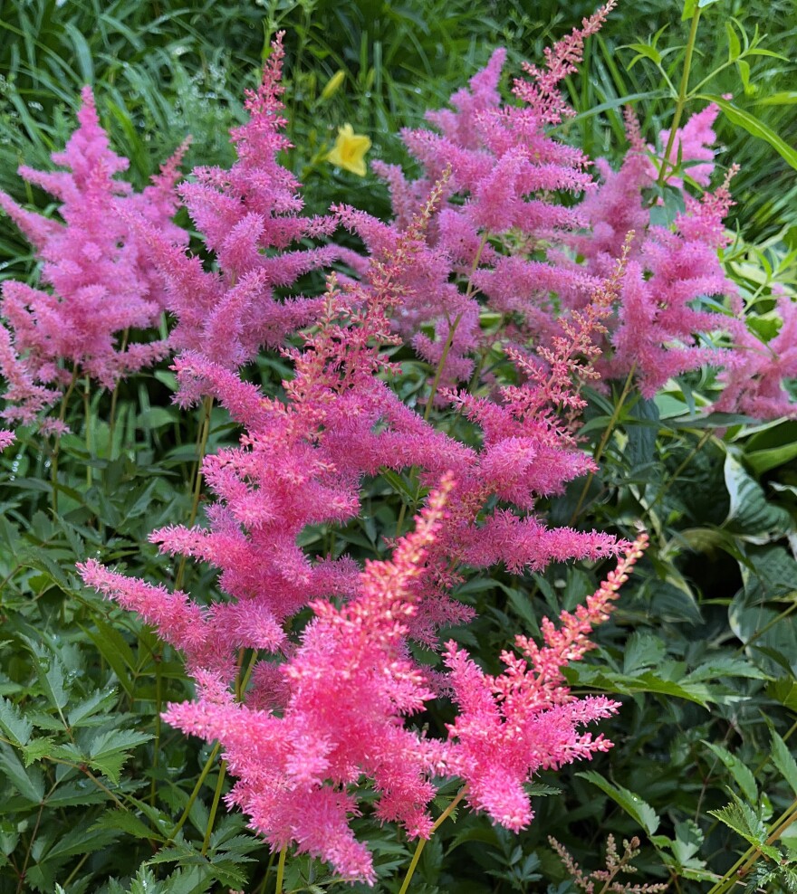 Tanglewood Map: Grounds Events & Layout Tanglewood Map: Grounds Events & Layout