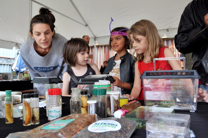 Holly (second from left) and Tennessee (right) inspect mealworms at the Brooklyn Bugs Festival's "petting zoo."