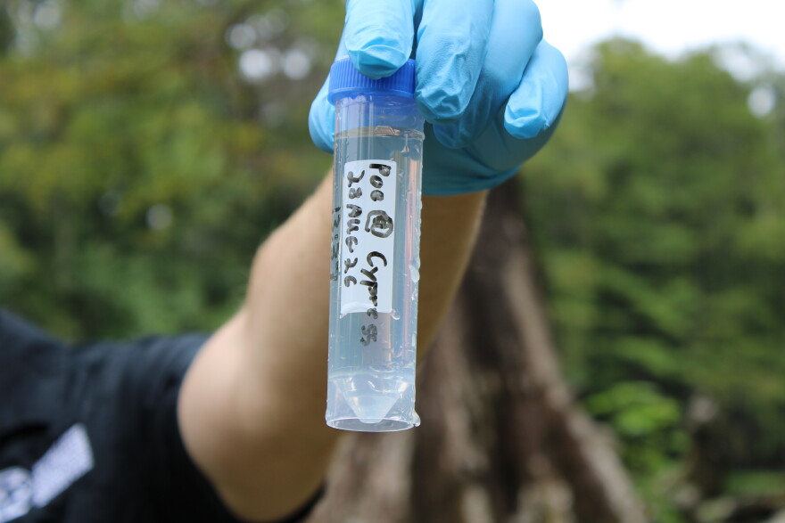 Hawthorne holds a water sample that will be analyzed for nitrate, a nutrient that can contribute to algal blooms. Poe Spring faces water quality issues in addition to its low flows.