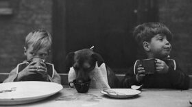 Prince, the canine mascot of the Leytonstone Children's Home, shows off his good table manners to his young friends.