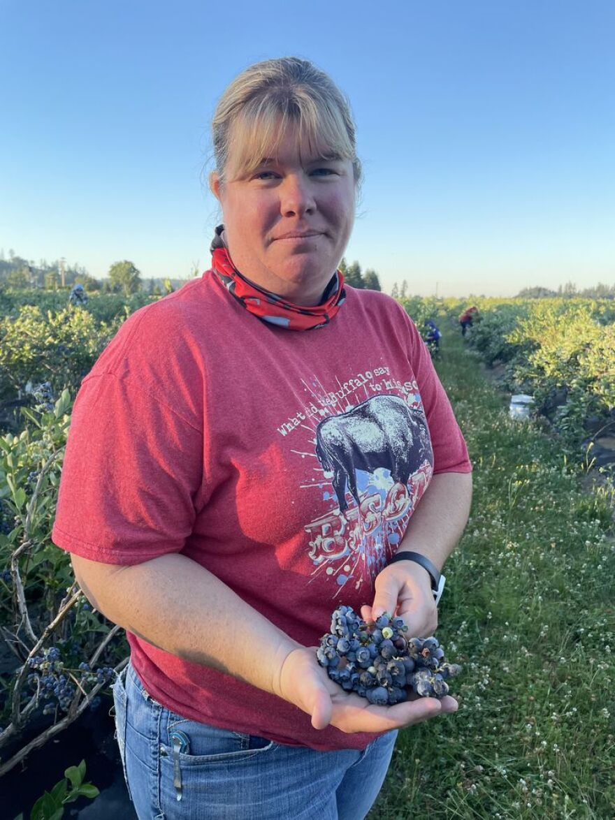 Berries Northwest's Anne Krahmer-Steinkamp finds damaged blueberries in her farm in Albany that have been scorched by the heat wave on June 28, 2021.