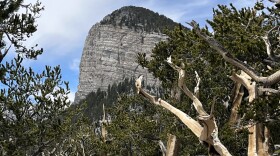 Mummy Mountain is seen from the Raintree Trail in the Spring Mountains in September 2022.