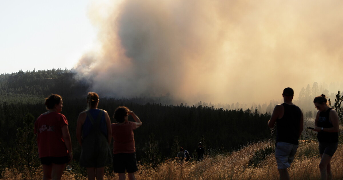 Wildfires are getting worse in WA. What can residents do to help prevent them?