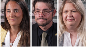 Representative Betsy Fogle, Cecil Ince and Representative Melanie Stinnett (L-R), candidates for Missouri Senate District 30 on the November 3, 2026, ballot.